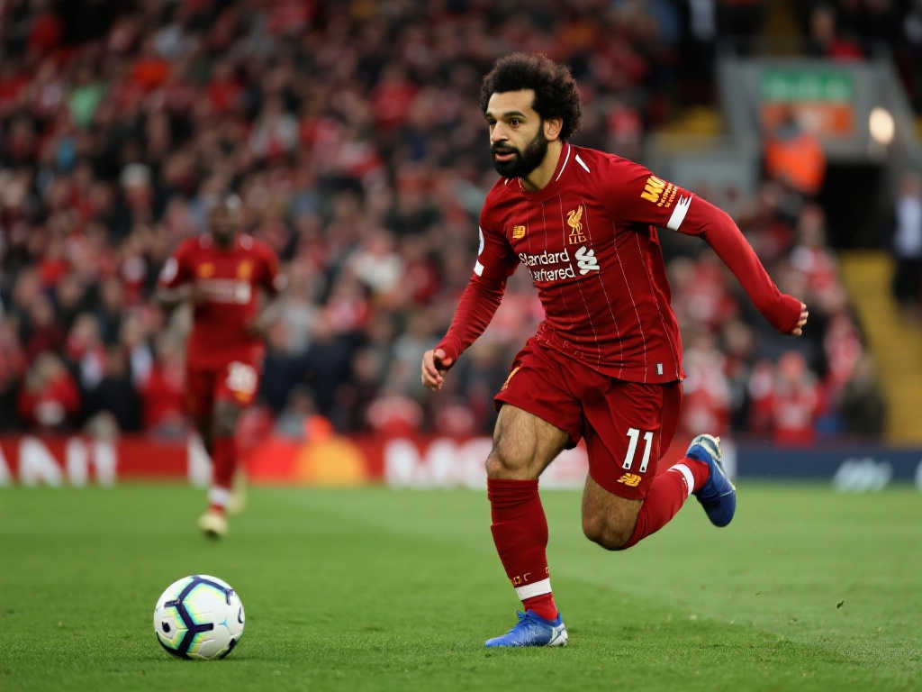 jiuyou九游娱乐介绍